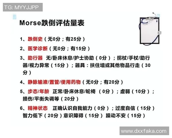 重庆篮球队杯赛战术分析与表现评估全面解读